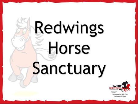 Redwings Horse Sanctuary. So, you’re visiting… Redwings Ada Cole!