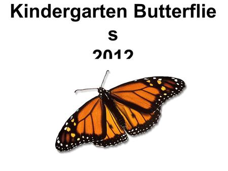 Kindergarten Butterflie s 2012. This is a butterfly. Alex Dobbins.