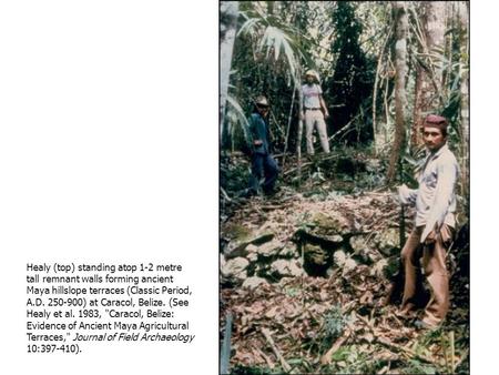 Healy (top) standing atop 1-2 metre tall remnant walls forming ancient Maya hillslope terraces (Classic Period, A.D. 250-900) at Caracol, Belize. (See.