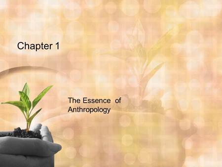 Chapter 1 The Essence of Anthropology. What Is Anthropology? The study of humankind everywhere, throughout time. Seeks knowledge about what makes people.