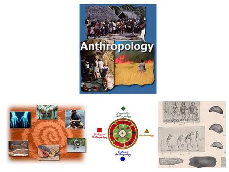 What is Anthropology? Anthropology is the broad study of humankind around the world and throughout time. It is concerned with both the biological and.