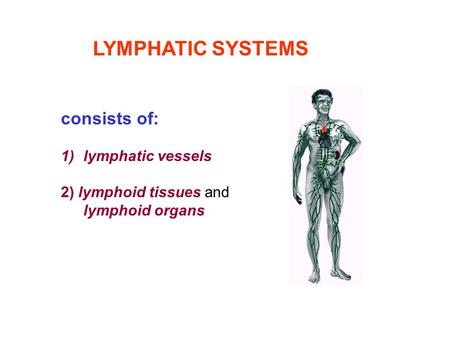 LYMPHATIC SYSTEMS consists of: lymphatic vessels