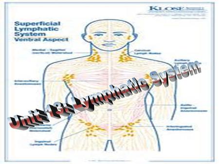 Lymphatic System ► Composed of lymph, lymphatic vessels, lymph nodes, tonsils, spleen, and thymus ► Functions: ► Drain interstitial fluid from tissue.