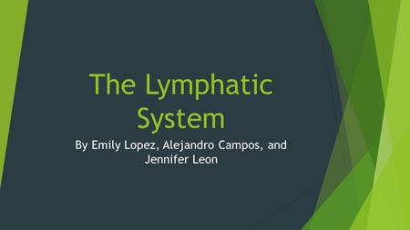 The Lymphatic System By Emily Lopez, Alejandro Campos, and Jennifer Leon.