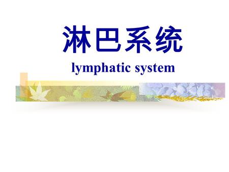 淋巴系统 lymphatic system.