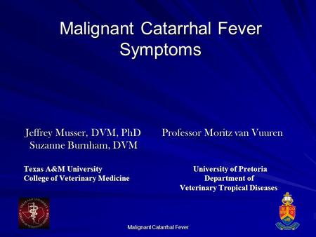 Malignant Catarrhal Fever Symptoms