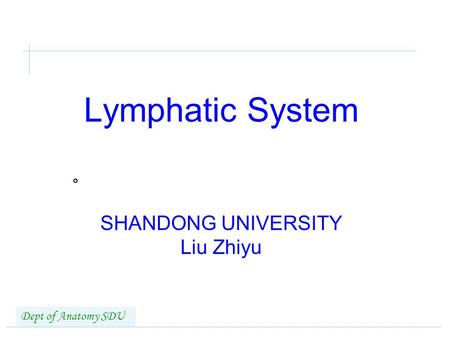 Lymphatic System SHANDONG UNIVERSITY Liu Zhiyu