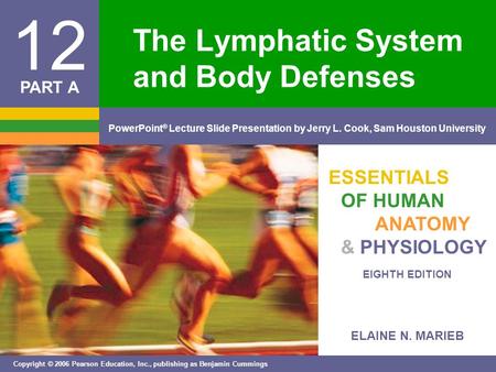 The Lymphatic System and Body Defenses