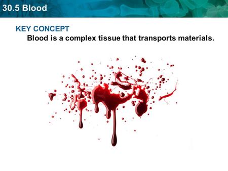 KEY CONCEPT  Blood is a complex tissue that transports materials.