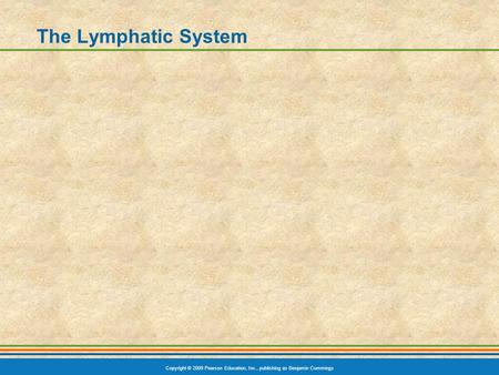 The Lymphatic System.