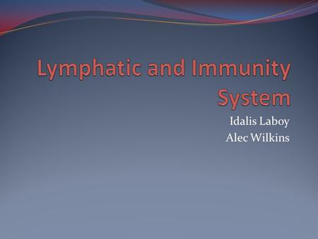 Lymphatic and Immunity System