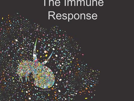 The Immune Response. The LYMPHATIC SYSTEM Leucocytes: white blood cells. Some secrete substances which destroy pathogens, others engulf and digest. Lymphocytes: