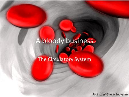 The Circulatory System