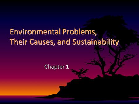 Environmental Problems, Their Causes, and Sustainability