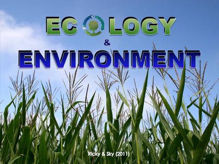 ENVIRONMENT LOGY EC. Ecology & Environment Ecological Footprint Green Energy Biodiversity Waste Management Eco-system 1. INTRODUCTION.