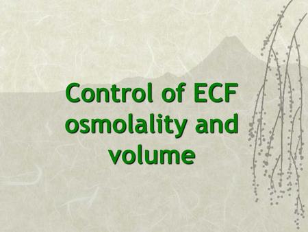 Control of ECF osmolality and volume. MAIN DIFFERENCES BETWEEN ICF AND ECF More Na + in ECF More K + in ICF More Cl - in ECF More PO 4, HCO 3, and Pr.