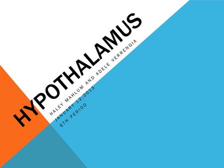 HYPOTHALAMUS HALEY MAHLUM AND ADELE VERRENGIA JANUARY 12,2013 6TH PERIOD.