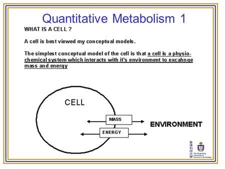 Quantitative Metabolism 1. Quantitative Metabolism.