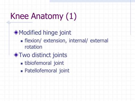 Knee Anatomy (1) Modified hinge joint Two distinct joints