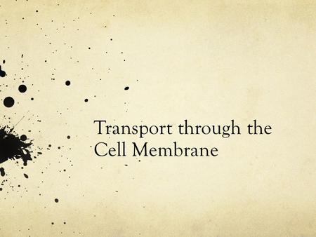 Transport through the Cell Membrane