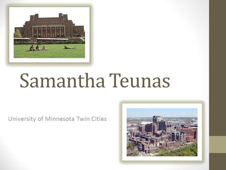 University of Minnesota Twin Cities