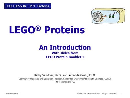 LEGO ® Proteins An Introduction With slides from LEGO Protein Booklet 1 Kathy Vandiver, Ph.D. and Amanda Gruhl, Ph.D. Community Outreach and Education.