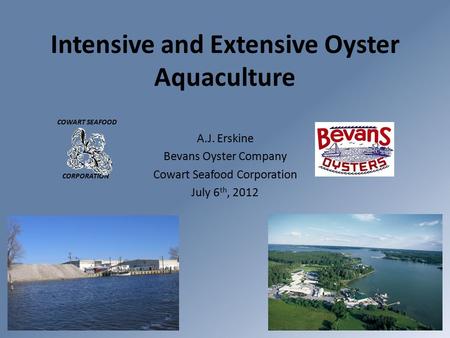 Intensive and Extensive Oyster Aquaculture