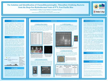 All ten cultures and two controls (EPR65 and EPR75) were subjected to RFLP screening. The ten unknown cultures showed five different band patterns, suggesting.