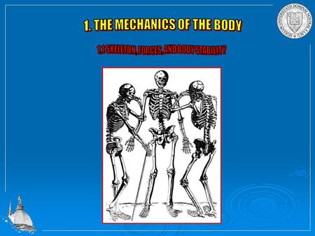 (W= weight!) W = m  g The main force acting on the body is the gravitational force! Gravitational force W applies at the center of gravity CG of the.