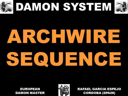 ARCHWIRE SEQUENCE DAMON SYSTEM EUROPEAN DAMON MASTER