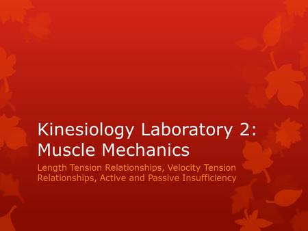 Kinesiology Laboratory 2: Muscle Mechanics