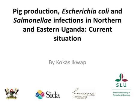 Pig production, Escherichia coli and Salmonellae infections in Northern and Eastern Uganda: Current situation By Kokas Ikwap.