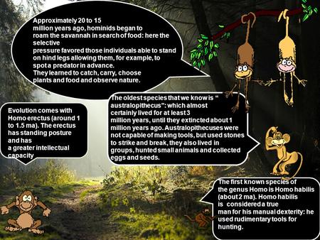 Approximately 20 to 15 million years ago, hominids began to roam the savannah in search of food: here the selective pressure favored those individuals.