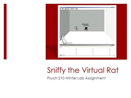 Sniffy the Virtual Rat Psych 210 Winter Lab Assignment.