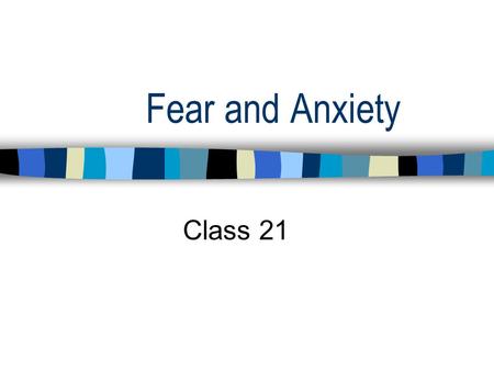 Fear and Anxiety Class 21. Final Exam Date and Time Date:Tuesday, May 14 Time:11:45-2:45.