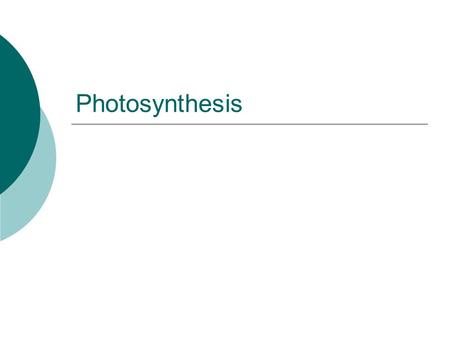 Photosynthesis.  Chlorophyll is the molecule that absorbs sunlight and uses its energy to synthesize carbohydrates from CO 2 and water.  This process.