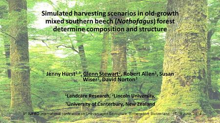 Simulated harvesting scenarios in old-growth mixed southern beech (Nothofagus) forest determine composition and structure Jenny Hurst 1,3, Glenn Stewart.