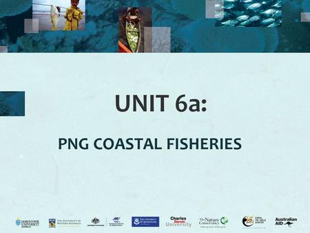 UNIT 6a: PNG COASTAL FISHERIES. 2 Coastal fisheries Activity 6.1: Assess prior knowledge by class discussion of their understanding of coastal fisheries.