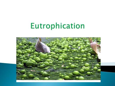  Eutrophication: pollution caused by the addition of nutrients; mainly nitrates, phosphates and sulfates.