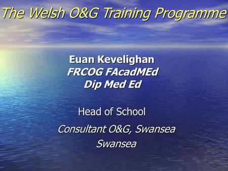 Euan Kevelighan FRCOG FAcadMEd Dip Med Ed Head of School Consultant O&G, Swansea Swansea The Welsh O&G Training Programme.