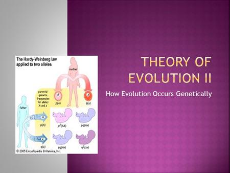 How Evolution Occurs Genetically.  Evolution occurs in _populations_ not _individuals.   Why? Within the _lifespan_ of one  individual, new features.