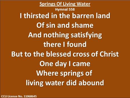 I thirsted in the barren land Of sin and shame And nothing satisfying there I found But to the blessed cross of Christ One day I came Where springs of.