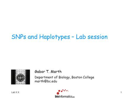 Lab X.X1 SNPs and Haplotypes – Lab session Gabor T. Marth Department of Biology, Boston College