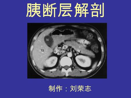 南阳医专 学习要点 教学安排 教学内容 回顾总结 复习参考 胰腺横 断解剖 制作：刘荣志 胰断层解剖.