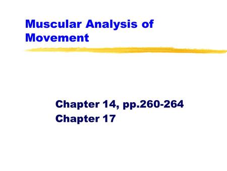 Muscular Analysis of Movement