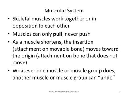 BIO L 105-lab 9 Muscle Gross Ana