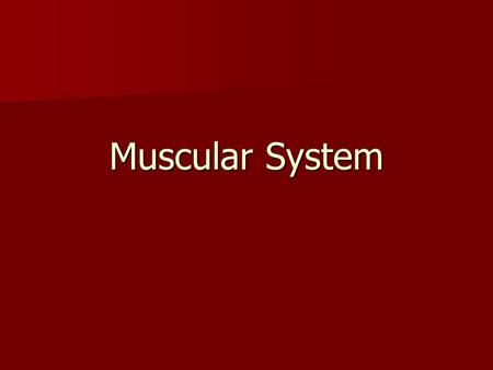 Muscular System.