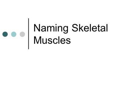 Naming Skeletal Muscles