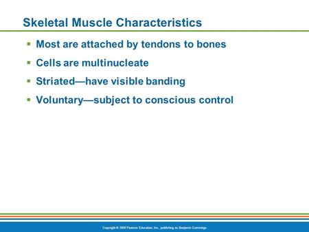 Skeletal Muscle Characteristics