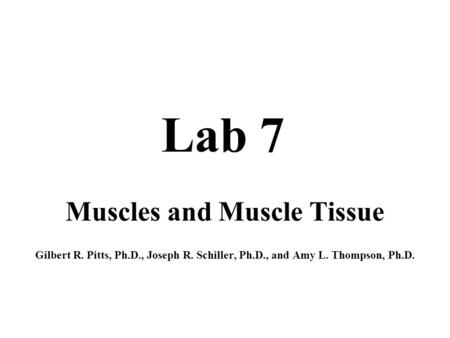 Muscles and Muscle Tissue